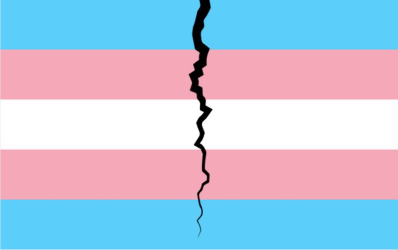 How a Free Speech Group Helped Right-Wing Dark Money Undermine Protections for Trans and Nonbinary Students