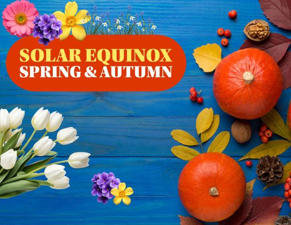 Spring flowers and fall leaves, fruit and nuts on a blue table to celebrate solar equinox