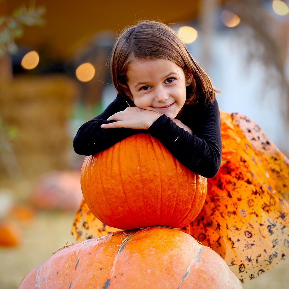 choosing the perfect pumpkin