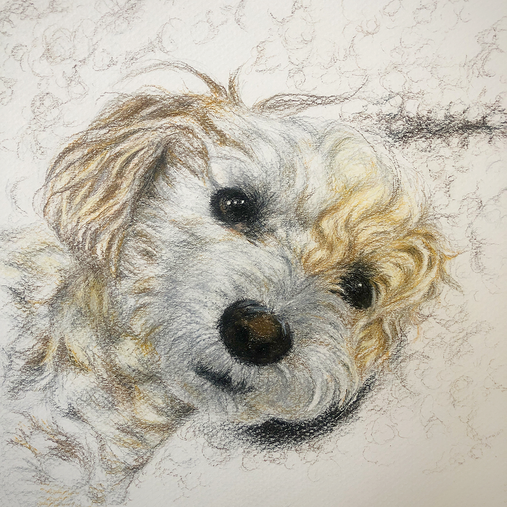 drawing with pastels