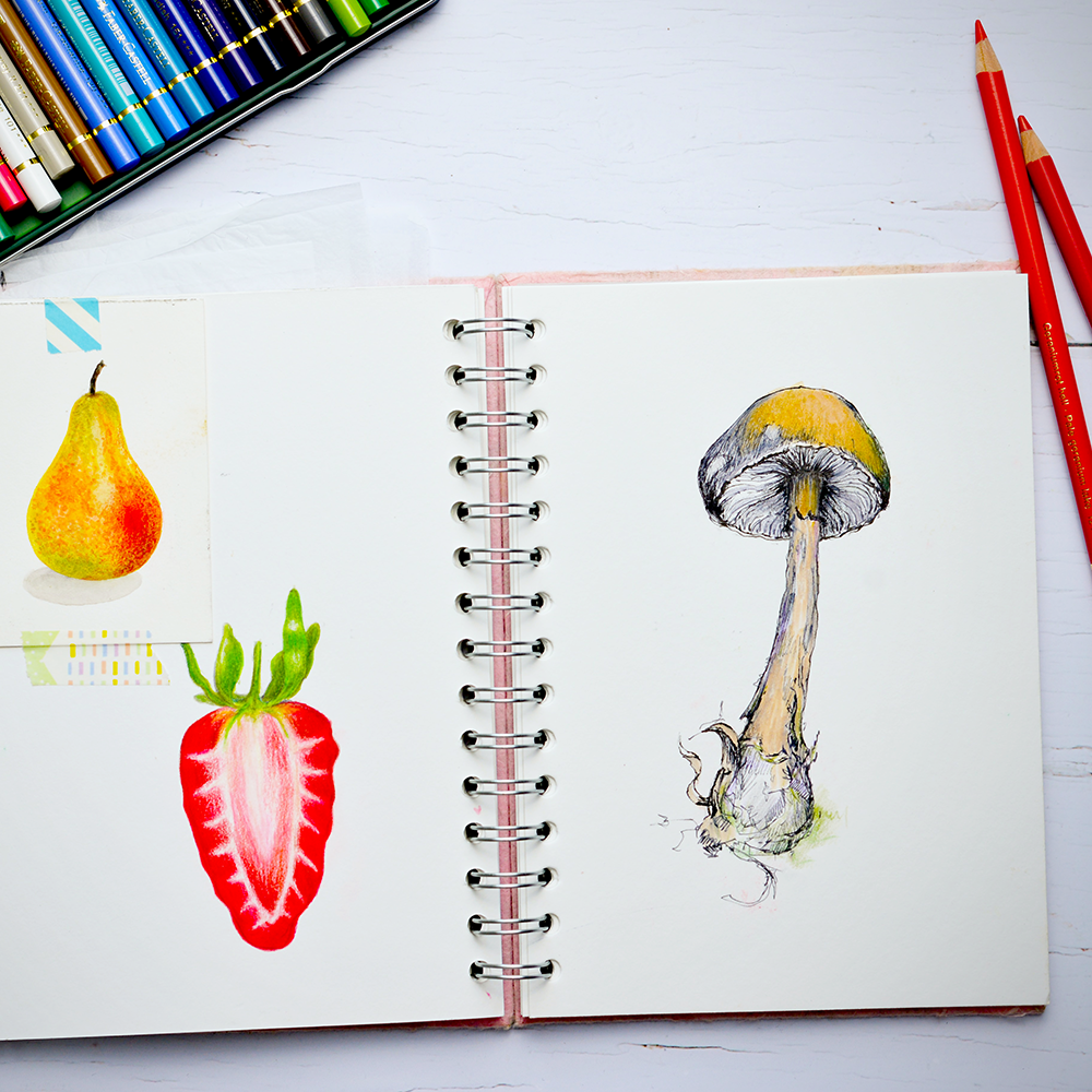 drawing with colored pencils