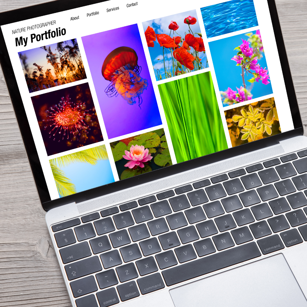 digital art portfolio