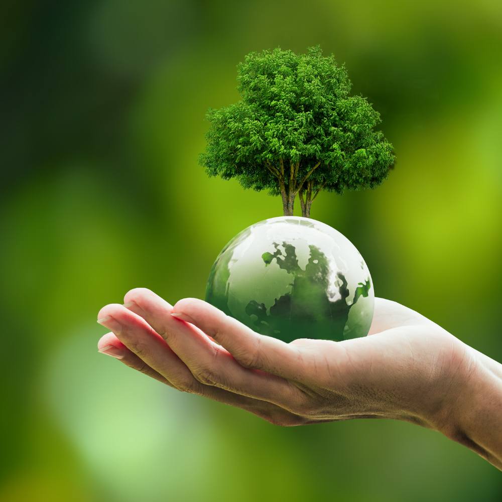 art for social change