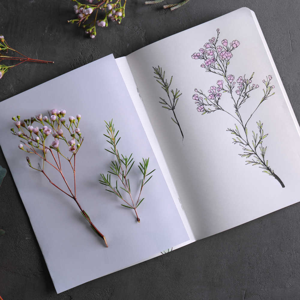 what are the rules for art journals