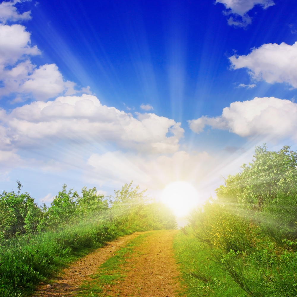 Sunlit Paths and Miracles