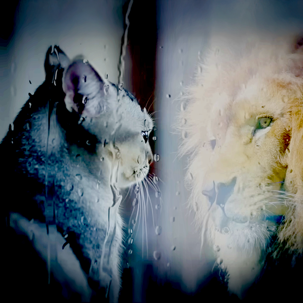 not playing small anymo