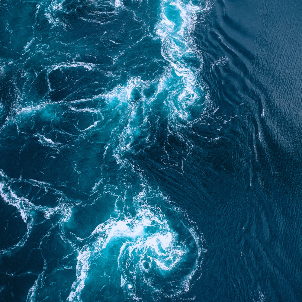 Embrace the Currents of Joy