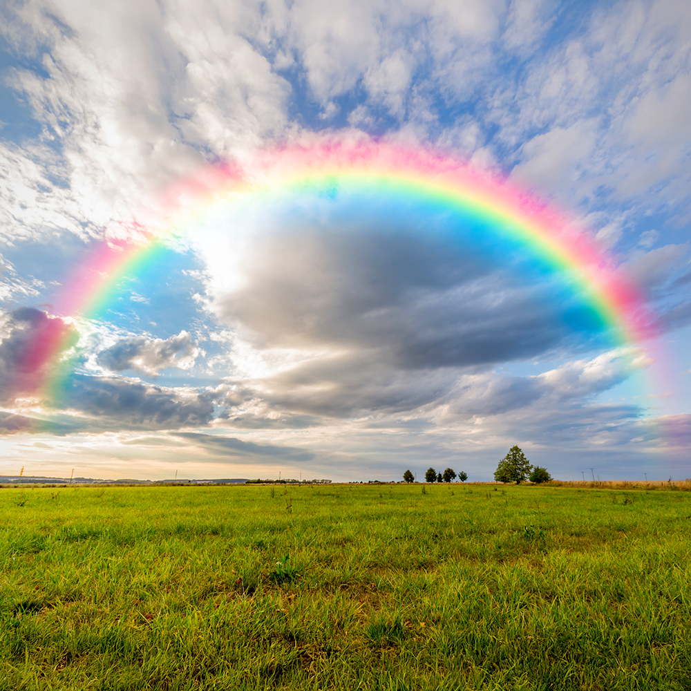 Manifest Magic and Miracles