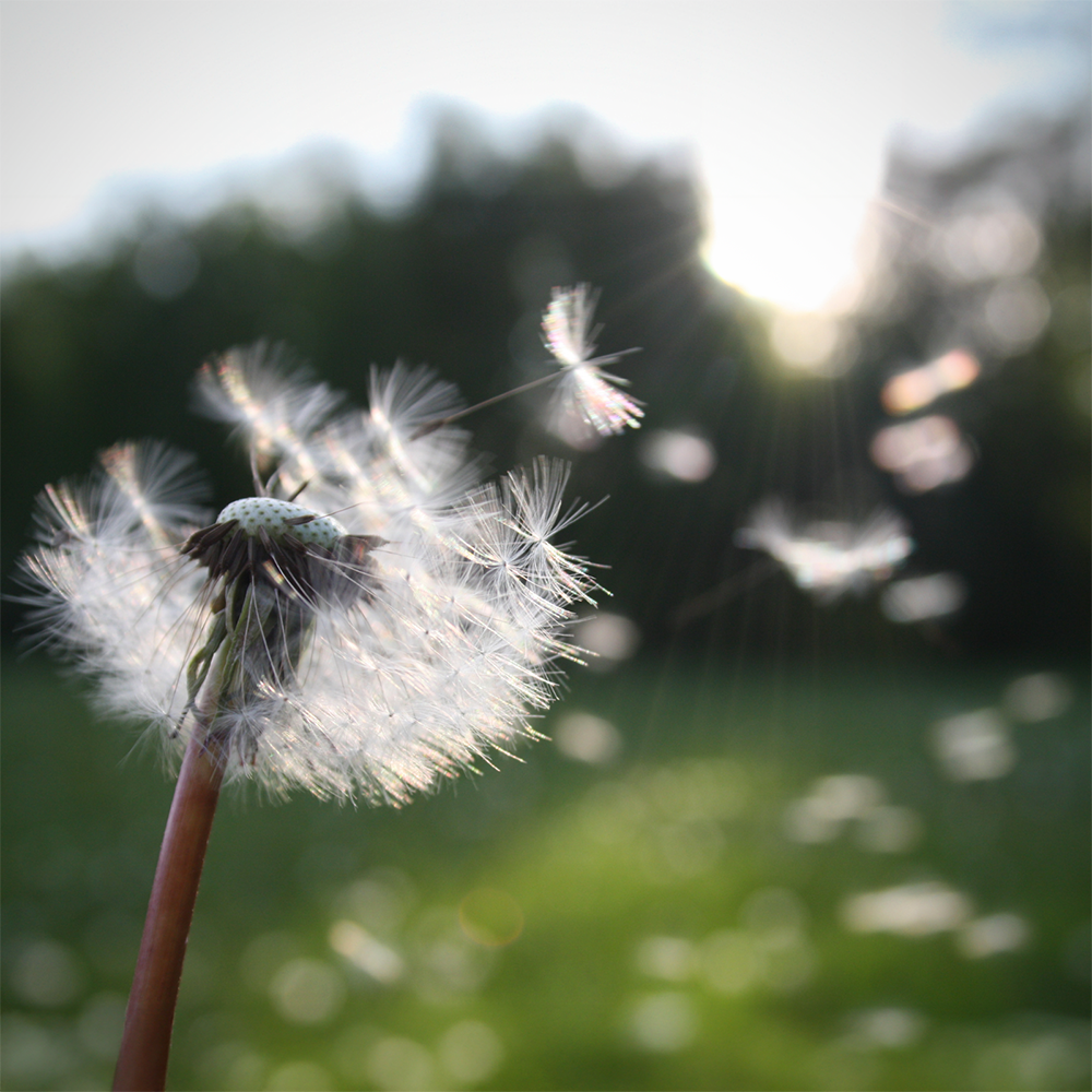 Embrace the Winds of Change