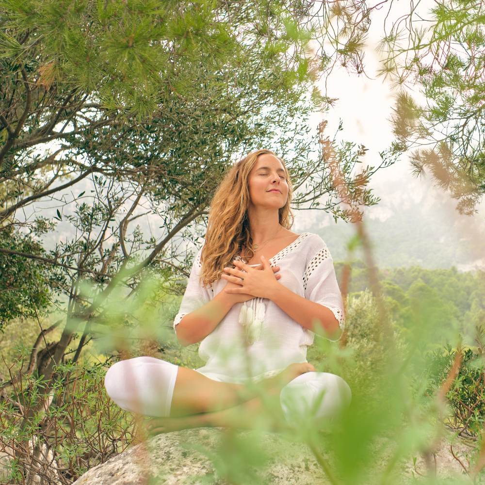 Trust the Process in Heart and Mind