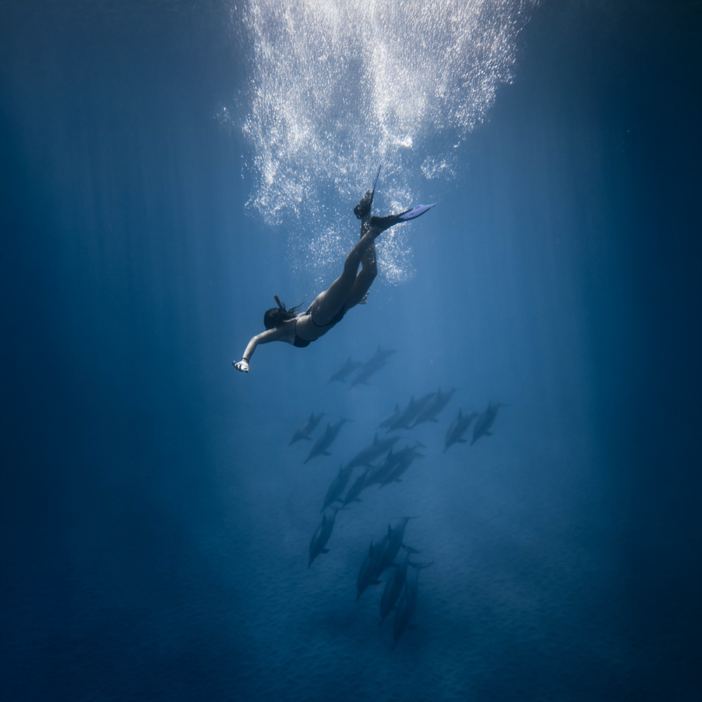 Dive into the Journey