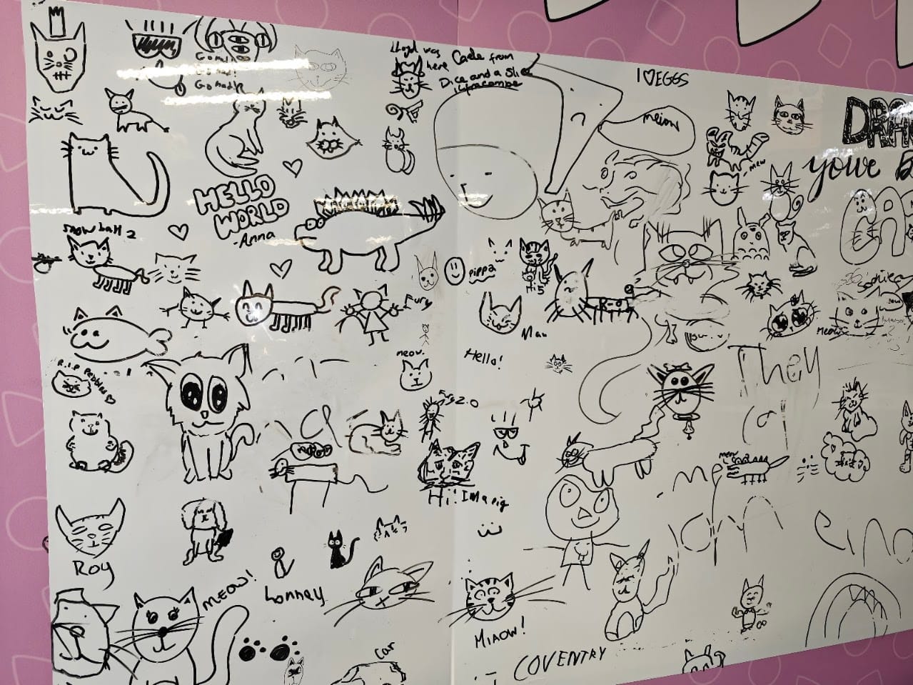 An image from the UK Games Expo, featuring many cats drawn on a white board. Try to spot the sad looking one I drew...