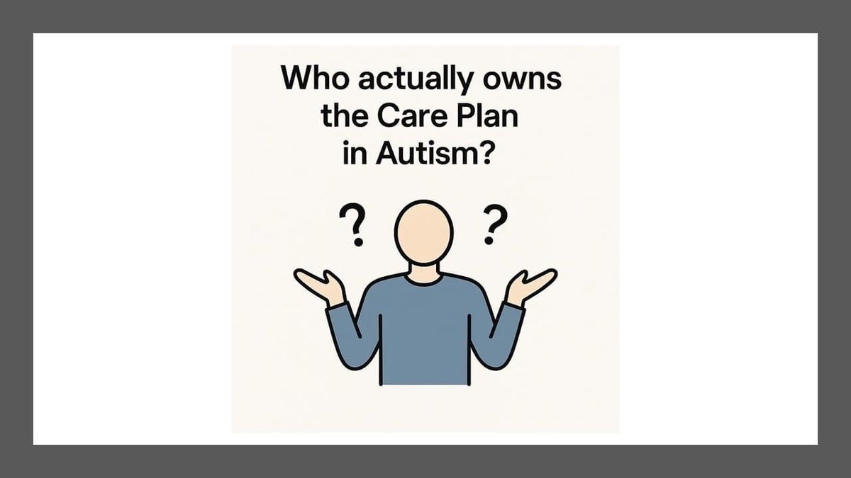 Who Actually Owns the Care Plan in Autism?