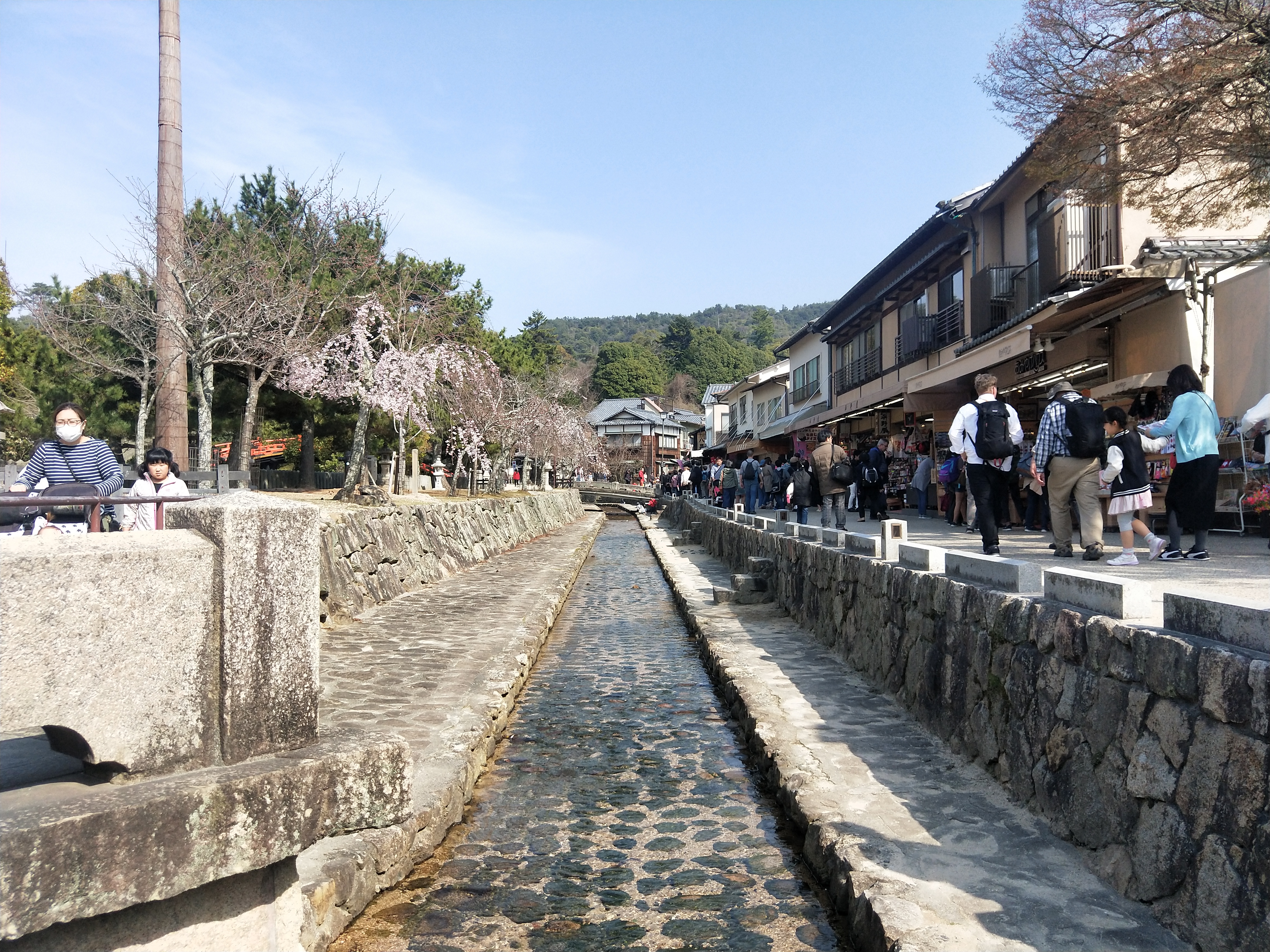 IMG20190327145828