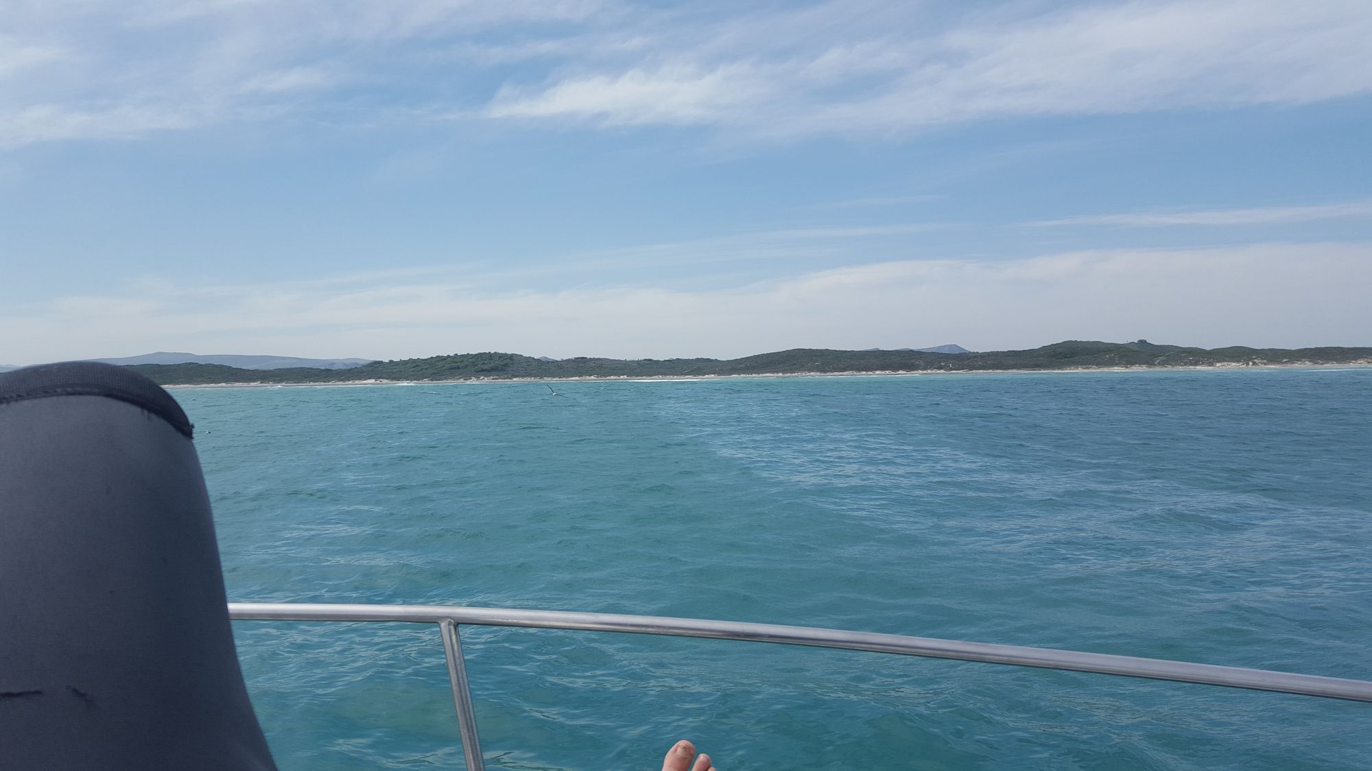 Cape Town, South Africa - Gansbaai