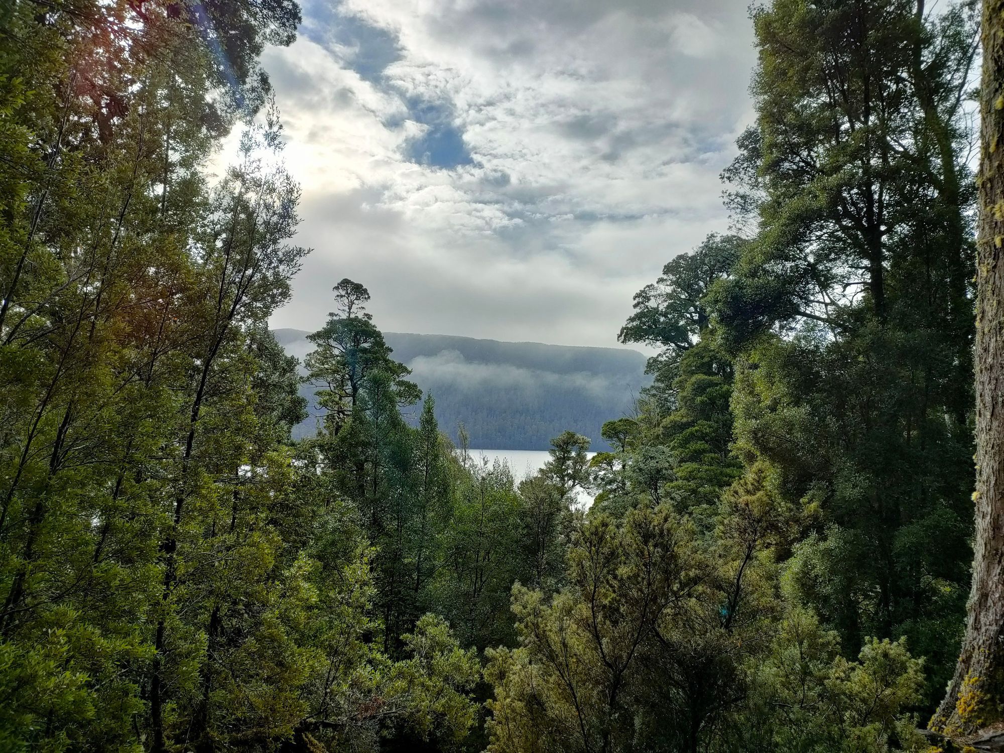 Overland Track - Day 7 - Echo Point to Lake St Clair