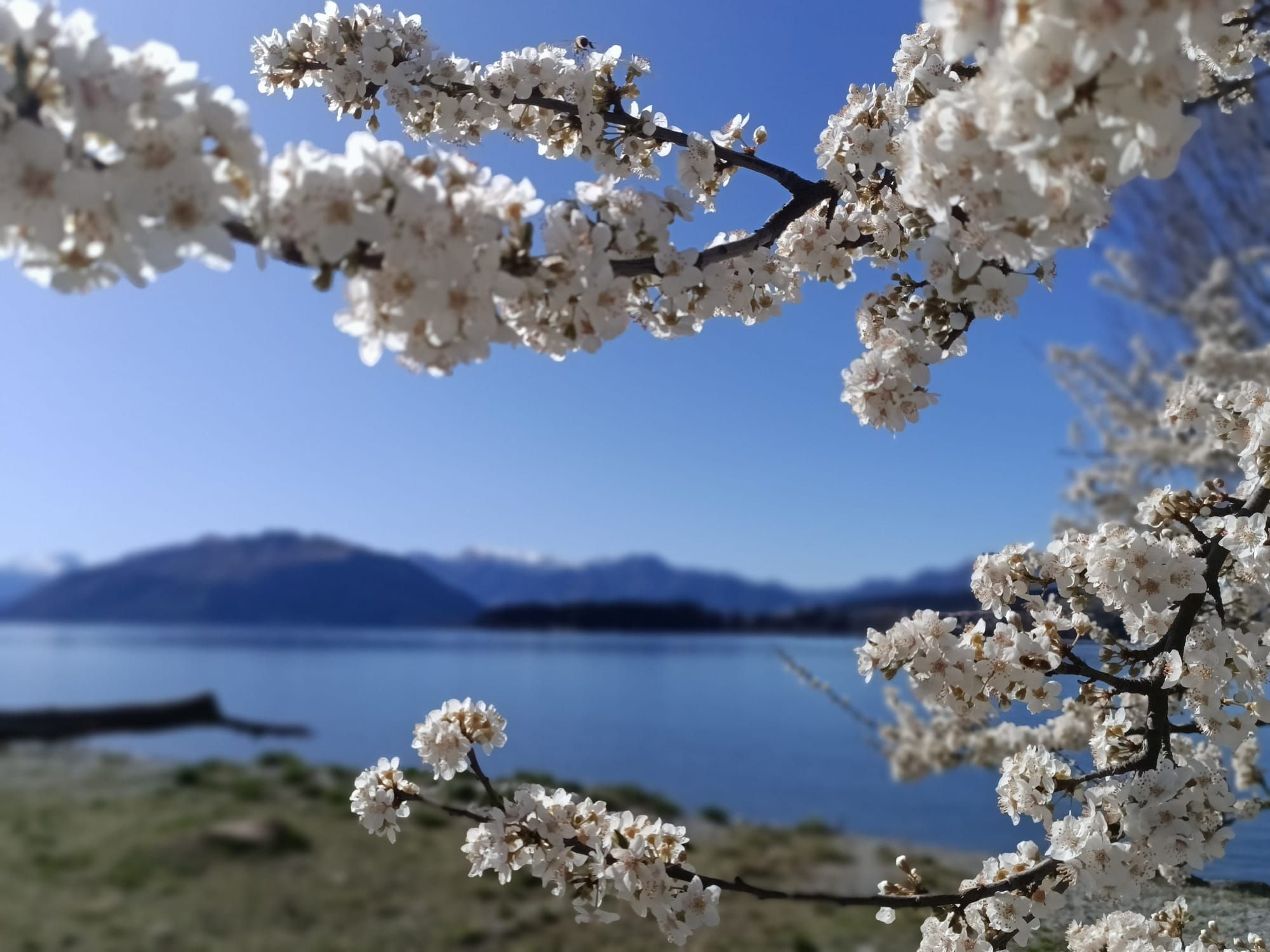 See The World, They Said