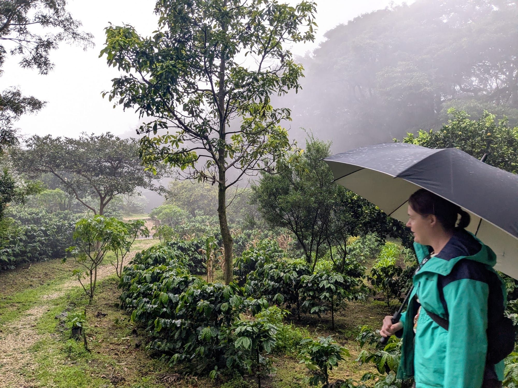 Monteverde, Costa Rica