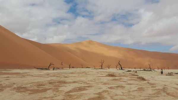 Namib-Naukluft National Park, Namibia