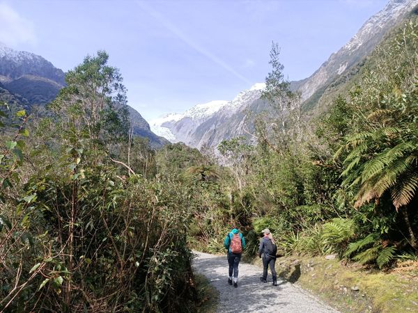 Franz Josef & Fox Glaciers