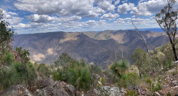 Green Gully Track - Day 2 - Bird's Nest Hut to Green Gully Hut