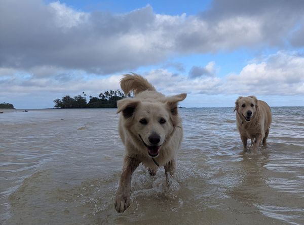 Cook Islands - Day 3