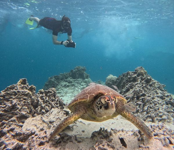 Cook Islands - Day 8