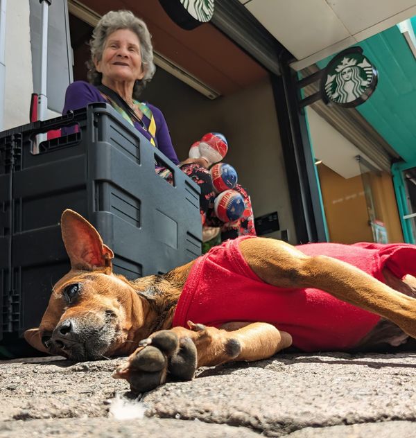 San José (CR) to Arenal