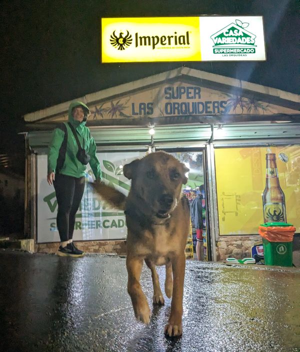 Arenal to Monteverde