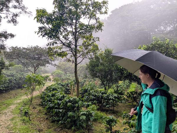 Monteverde, Costa Rica