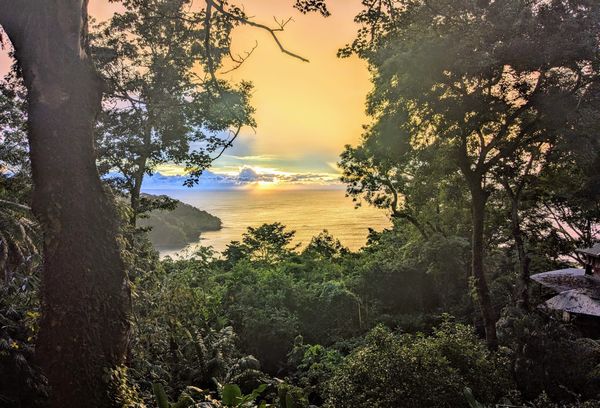 Monteverde to Manuel Antonio