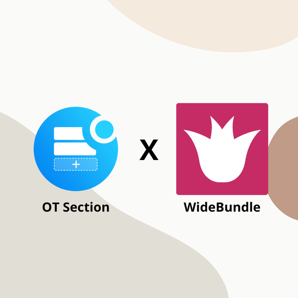 How WideBundle and OT Section: Theme Sections Help Shopify Brands Increase AOV and Boost Conversions
