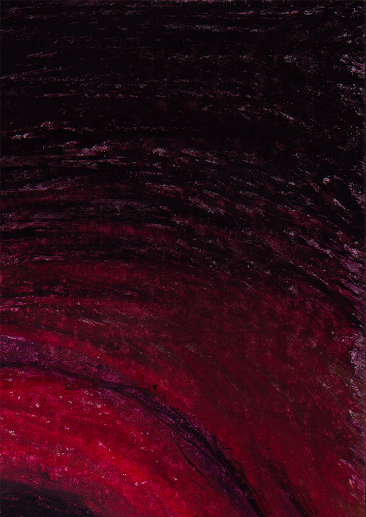 The Metamorphosis — Zehnlicht Edition