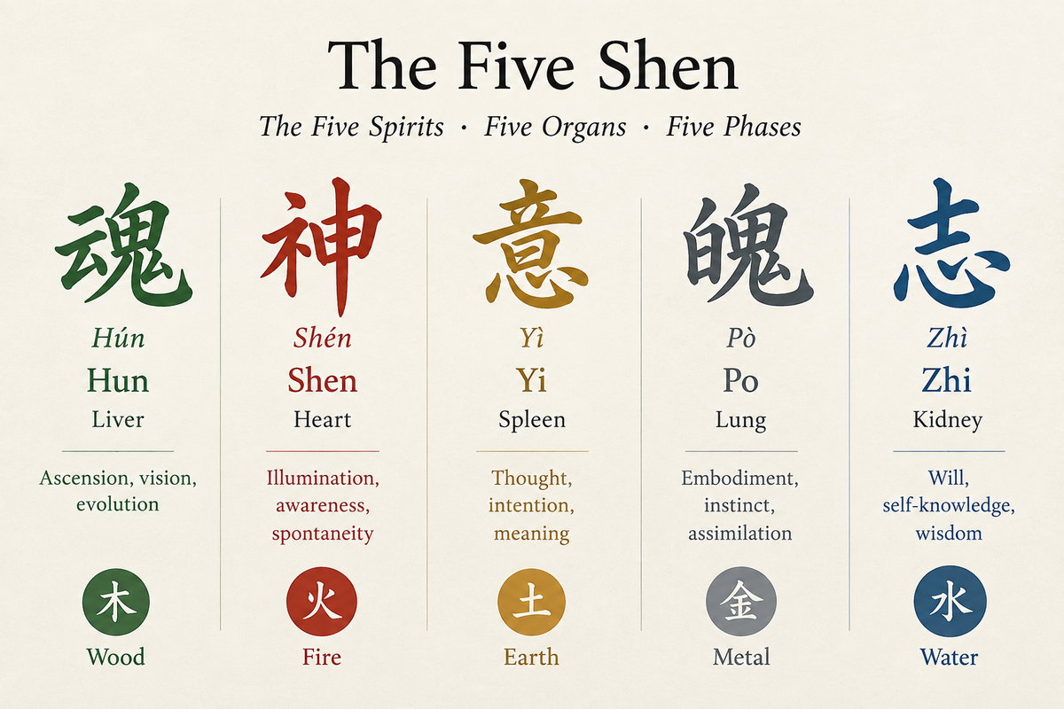 The Five Shen