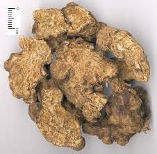 Choosing Between Bai Zhu and Cang Zhu