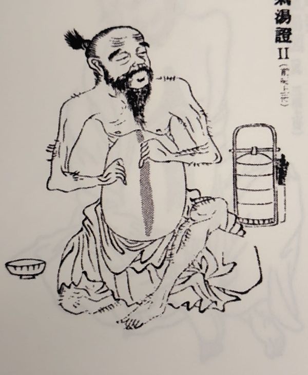Da Cheng Qi Tang and the Nature of Yang Ming Excess