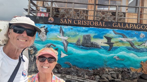 A Toasty Afternoon Stroll