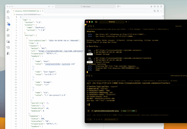 Dev Proxy v1.3.0: HAR File Generation, LLM Usage Tracking, Enhanced API Testing