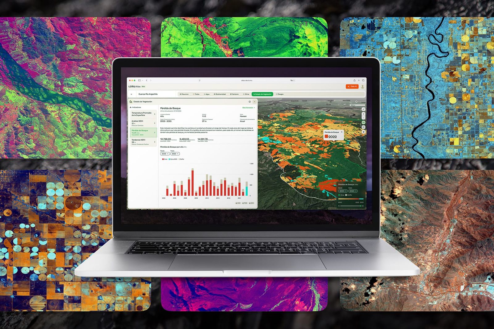 Lemu in 2025: Our Year in Numbers