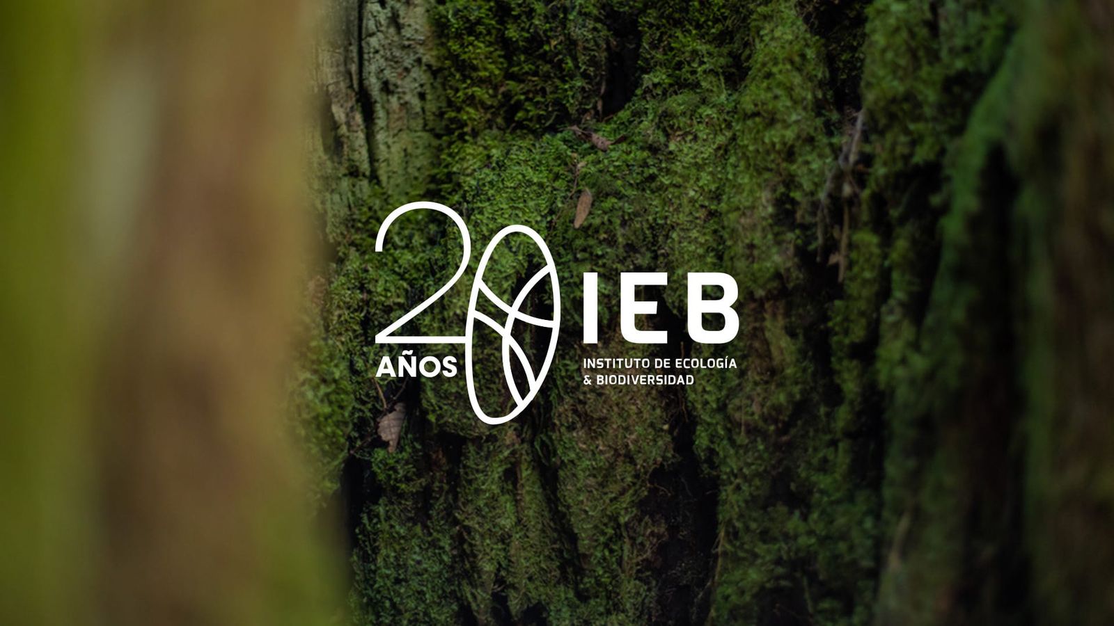 Lemu and the Institute of Ecology and Biodiversity (IEB) sign collaboration agreement to deepen science-backed Nature Intelligence