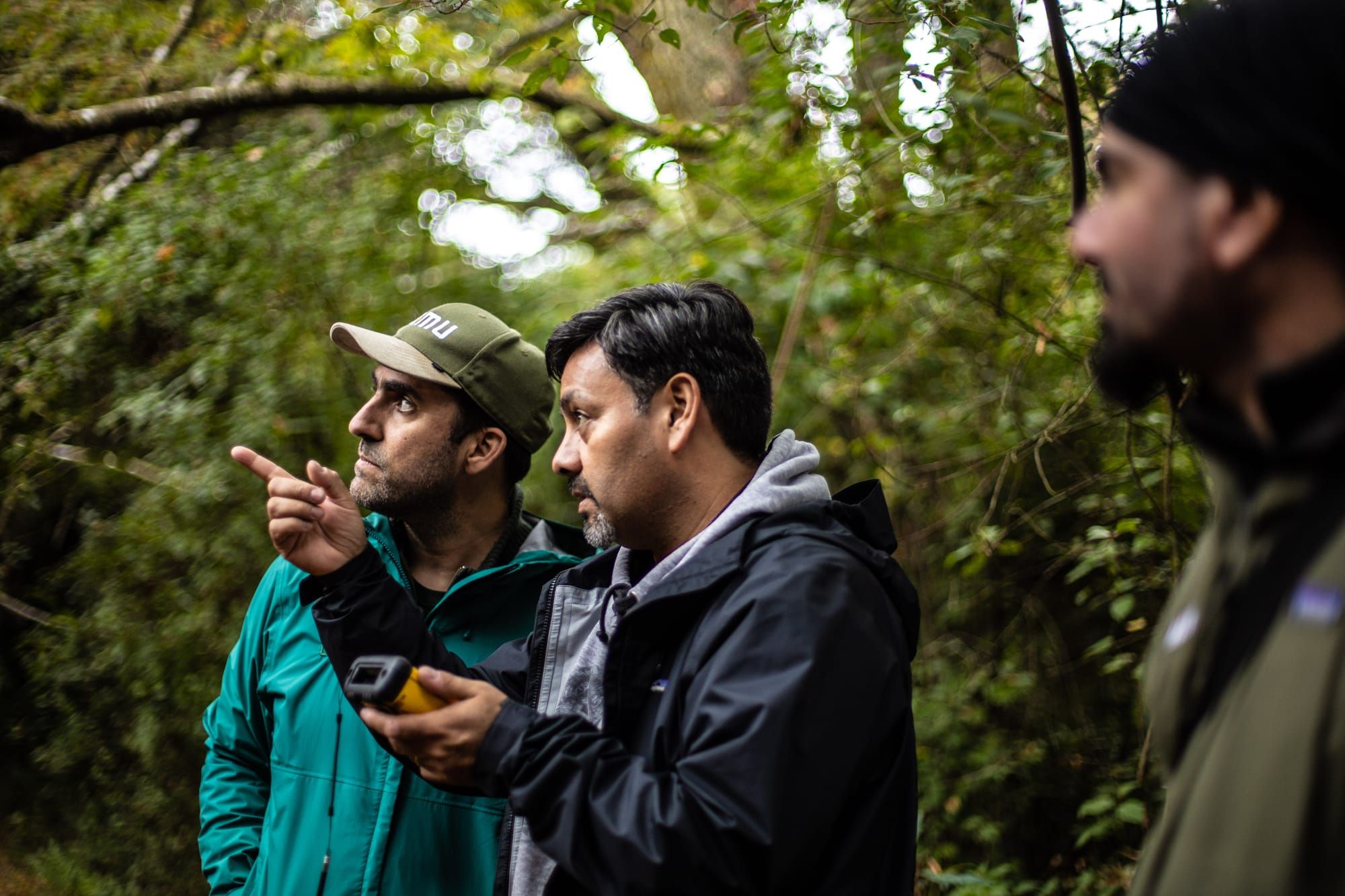 At COP27 Lemu Announces Plan to Finance the Protection of 1% of the Earth in 10 years