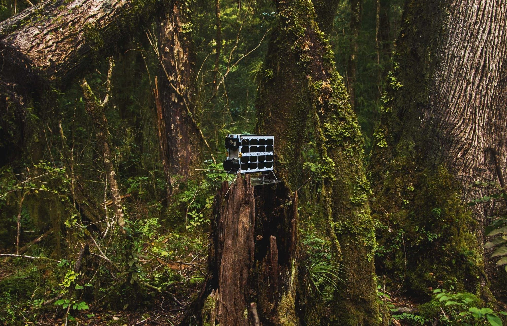 Mission to save Earth – Lemu signs contract with NanoAvionics for the world’s first global biodiversity observation mission