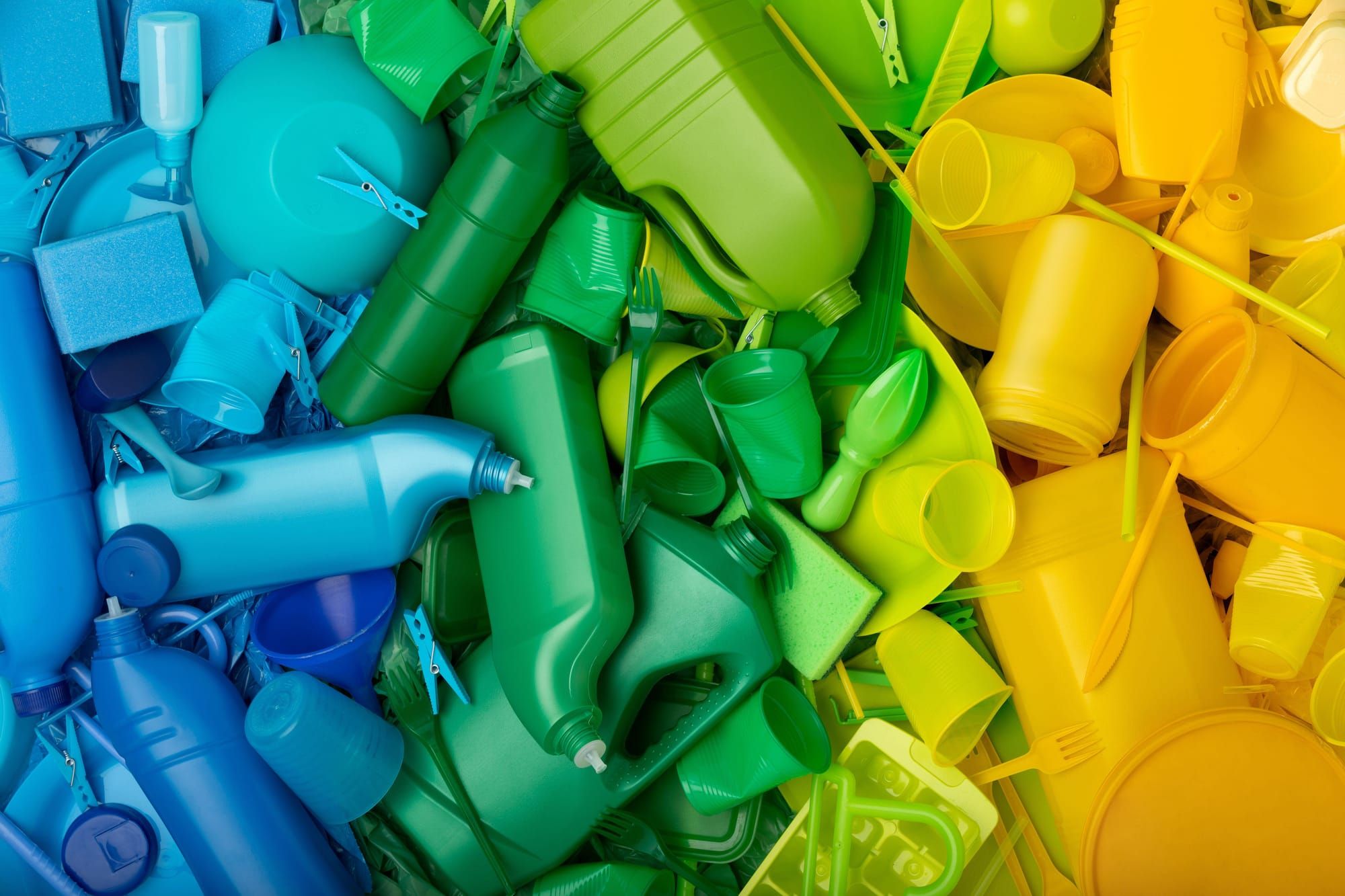 Addressing the Roots of Biodiversity Loss: Overpopulation and overconsumption