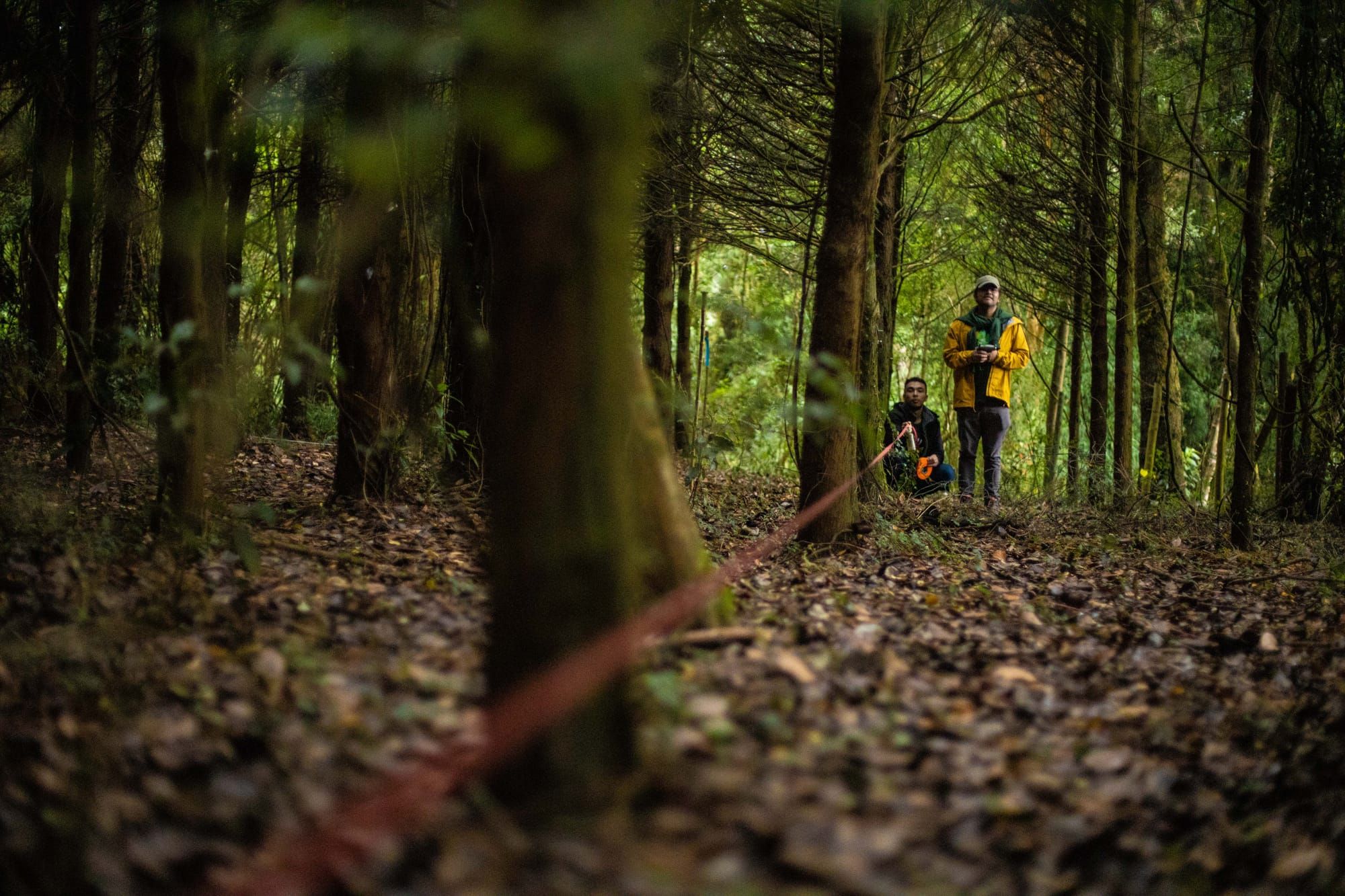 Managing Nature Risks: Where Your Company Can Start