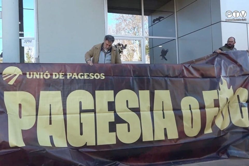 Unió de Pagesos alerta d'una «crisi molt forta» al sector vitivinícola amb preus de liquidació a 40 cèntims