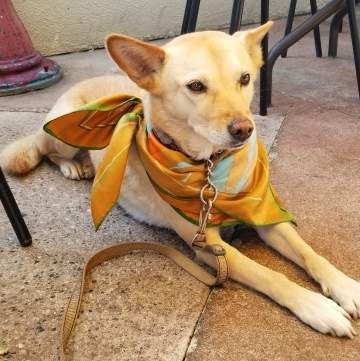 Hello? Is it me you are looking for?