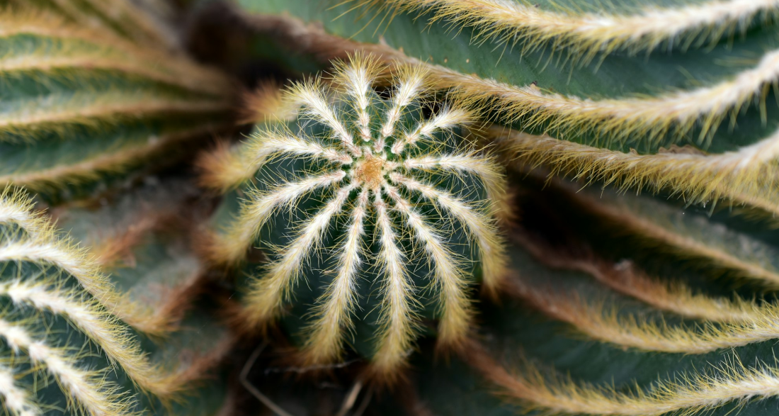 Priorities or Distractions AKA Worse or Better?