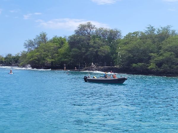 Swimming with the fishes & Captain Cook, The Big Step, Ear burning Cold