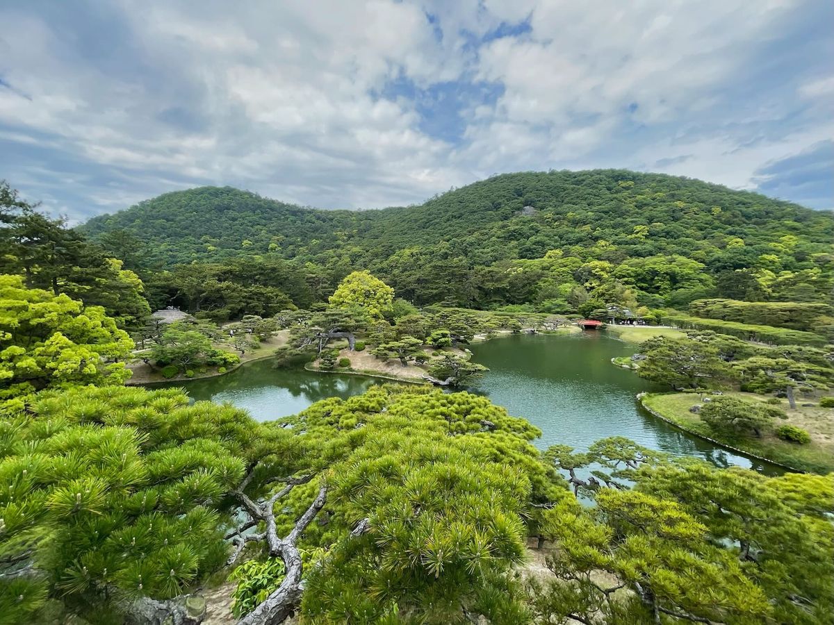 WB023: Trying the art of Bonsai