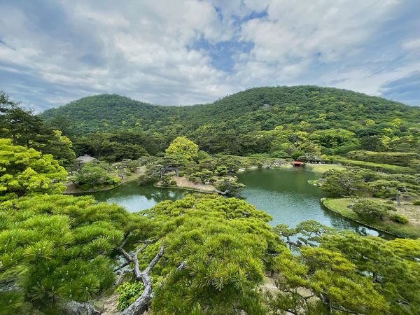 WB023: Trying the art of Bonsai